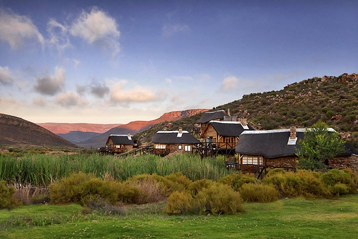 Aquila Wildlife Safari Tour - Photo 1 of 7